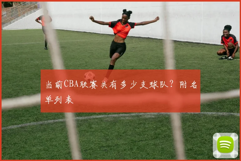 当前CBA联赛共有多少支球队？附名单列表